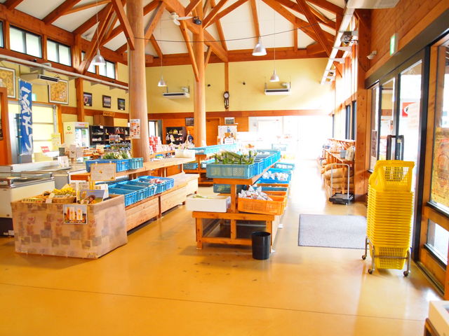 �Y���s���_���̉w ��̖����݂̖؃p�[�N