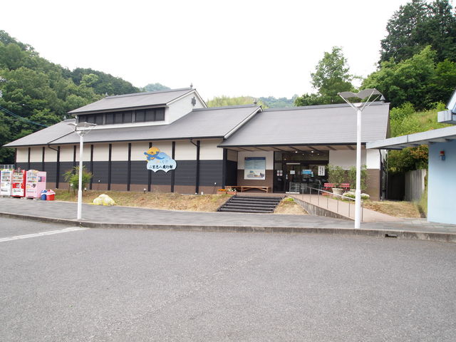 ˂񂳂̓̉w ̖݂̖؃p[N̓eʐ^5