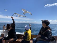 Jingfen̏M̓AN[Yւ̓eʐ^1