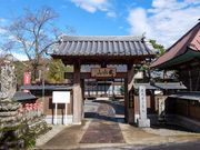 �킩�ԁ[����̑P�����̓��e�ʐ^1