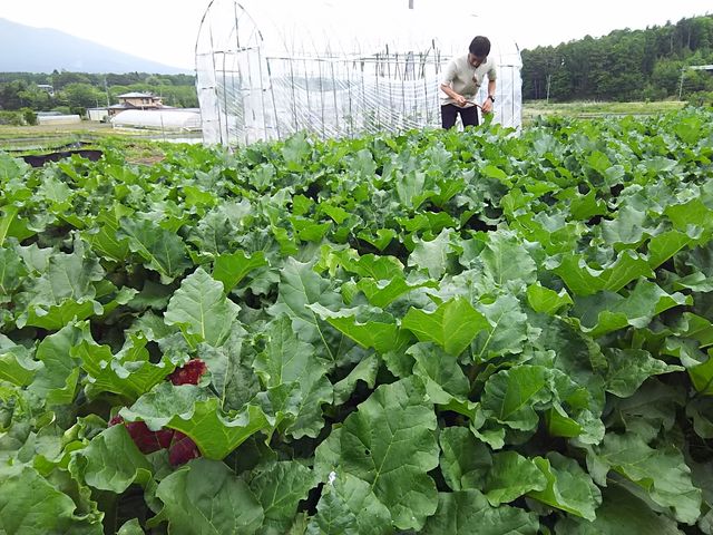 ���o�[�u���ɂ�_���ڂ����_��