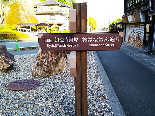 �ē��W��_��F�̒�����