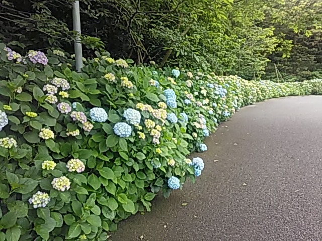 ߂̌ŃAWTCA_˂HEJtFEA[gX^WI