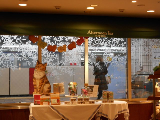 񂳂̃At^k[eB[EeB[[  yX̓eʐ^1