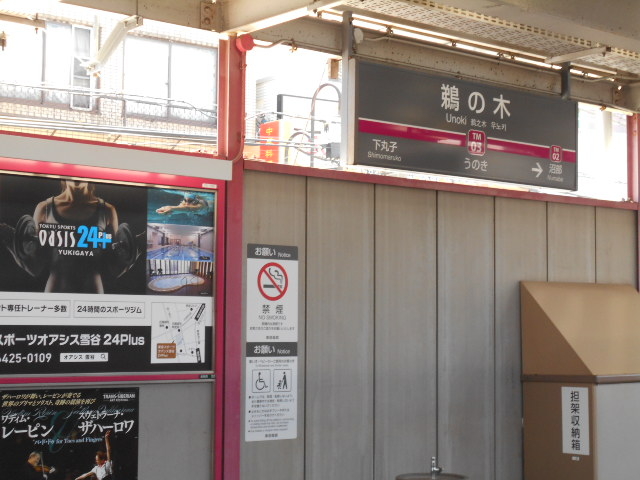 gV[̓} L̖؉w̓eʐ^1