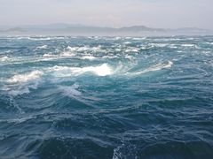 �Ȃ��ҁ[����̂��������ϒ��D�ւ̓��e�ʐ^1