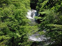 �Ðh�F����̐�����i���̑�j�ւ̓��e�ʐ^1