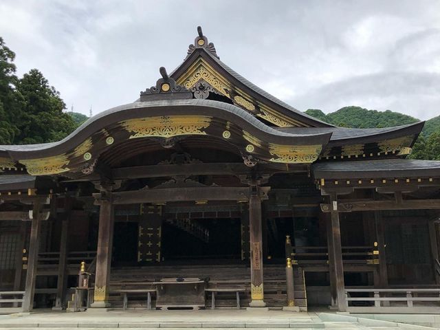 ���h�Ȕq�a�͌��ɂ��R��w�����Ă���悤�Ɍ����܂��B_�\�F�_��