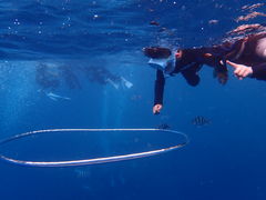 ~~̖` ꑍAEghAcA[Xւ̓eʐ^1