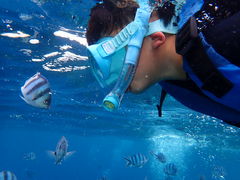 ~~̖` ꑍAEghAcA[Xւ̓eʐ^2