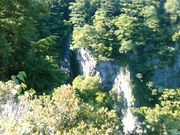 L^J̕Ă̑̕hCuC̓eʐ^2