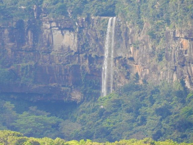 �s�i�C�T�[���̑�����]_�s�i�C�T�[���̑�