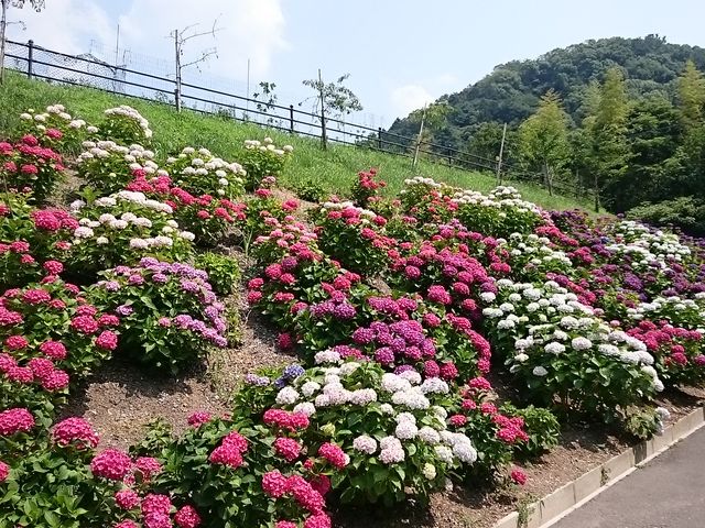 ���ƂƂ肠��������_��ږ�i�Ƃ�́j�n��E���n��