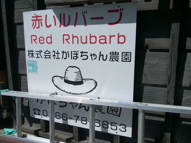 �Ŕ�_���ڂ����_��