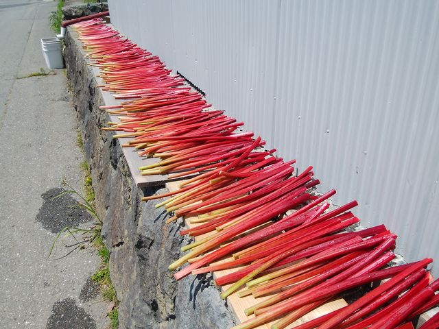 ���A�󋵂ł̑��߂̎��̎d��_���ڂ����_��