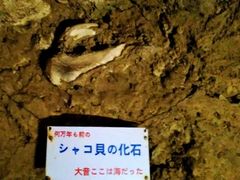 kazu̐Ί_ߓւ̓eʐ^1