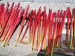 gotohirôڂ_ւ̓eʐ^1