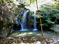 甘辛熊さんの姫ヶ滝りんご園への投稿写真1