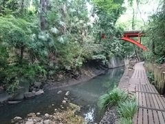 ܁[񂳂̓X͌kJւ̓eʐ^2