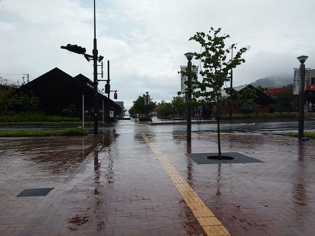 �V�[�p���s�A����1_�V�[�p���s�A����