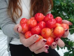 reokarin̍t[chւ̓eʐ^2