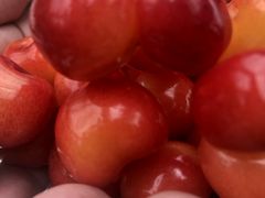 reokarin̍t[chւ̓eʐ^3