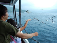 �������������W�]�D�@�x���N���[�Y���Ƃ��@��[�݂�t�b�N�̎ʐ^2