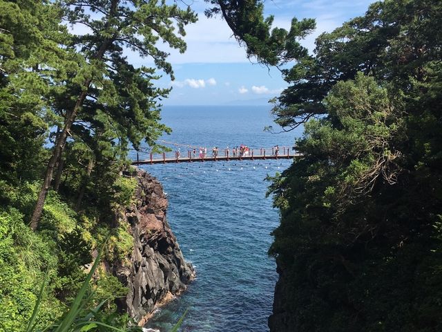 �|���苴_��P��C��