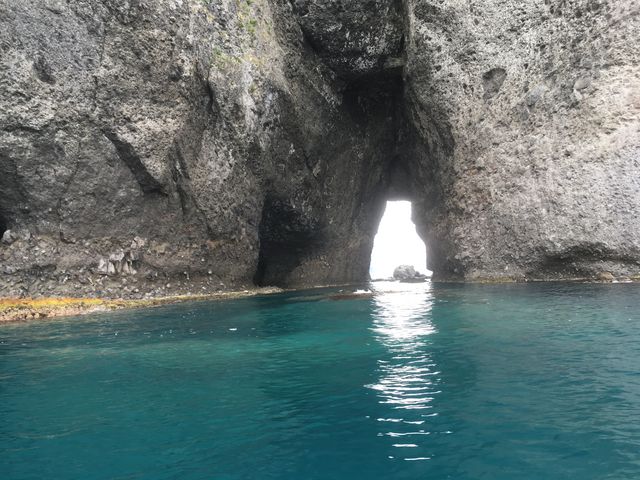 �C�̐F���G�������h�O���[��_�̓��A���M�N���[�W���O�v�����}����