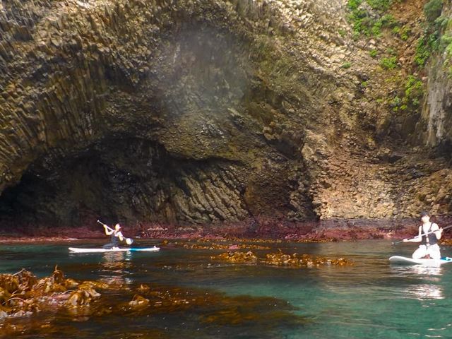 ��i�I�p���[�X�|�b�g�I_rine surf