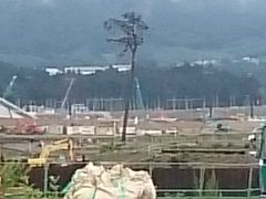 bXB[̊Ղ̈{ւ̓eʐ^1