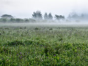 pon̏c㌴̃AU~Q̓eʐ^1