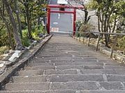 ݂̎RpV_(ZOg)̓eʐ^1