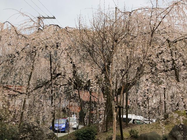 �׉_���̂������_�׉_���̂������