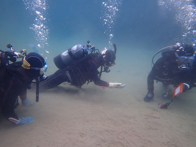 ̒猩ĂꂽEjł__CrOlC`[cA[F.WAVE