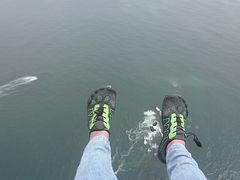 ߂̏MCpOC_[̌ւ̓eʐ^1