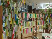 ڗ̃}Nhihl[h|[^[YX̓eʐ^1