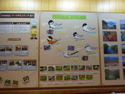 pW[̎x┌΃rW^[Z^[̓eʐ^1