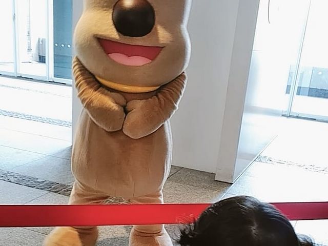 �`�[�Y�����o�}����_�����A���p���}�����ǂ��~���[�W�A��in���[��