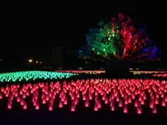 񂳂̃O[ie{X OiVAւ̓eʐ^2