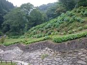 Xkv̋G߁EԌ̃X|bg`ā`̓eʐ^1