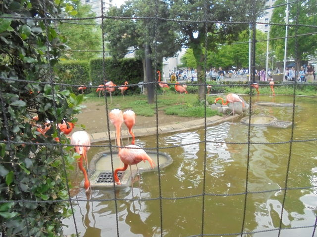 ��쓮���� �t���~���S��_��쓮���� �t���~���S��