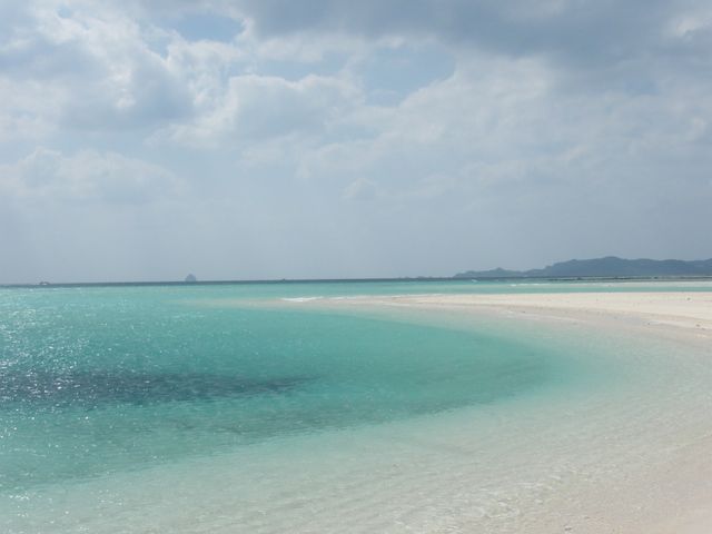 ����̗����̒��ł����w�̃r�[�`�ł�_�n�e�̕l