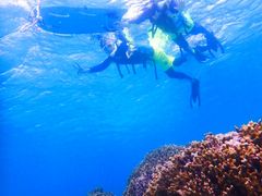 ₩Nature Guide Double Rainbow lC`[KCh@_uC{[ւ̓eʐ^1