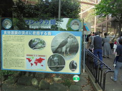 ̏쓮 o[hnEXւ̓eʐ^1