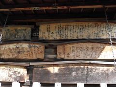 ڂ肳̔nďhւ̓eʐ^1