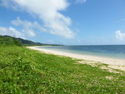 �g�����\����̓앗���c�̕l�̓��e�ʐ^1