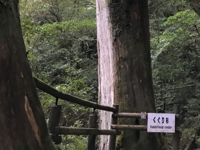 �����萙_���N�X�M�����h