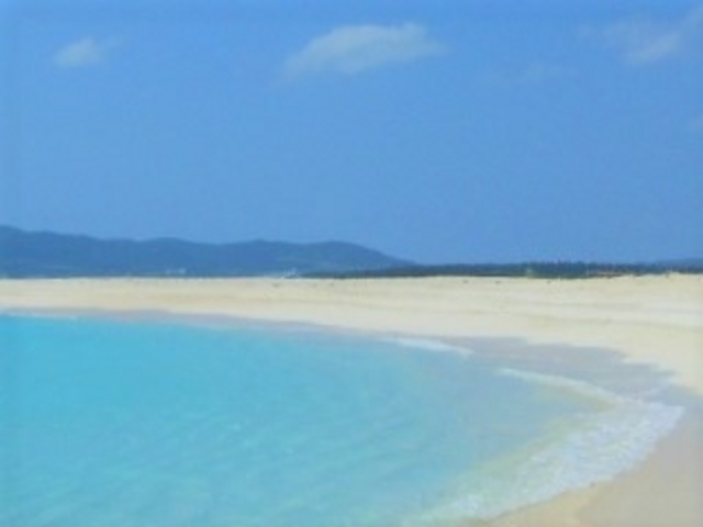 �v�ē��ό��̒�Ԋό��|�C���g�A�n�e�̕l_�n�e�̕l