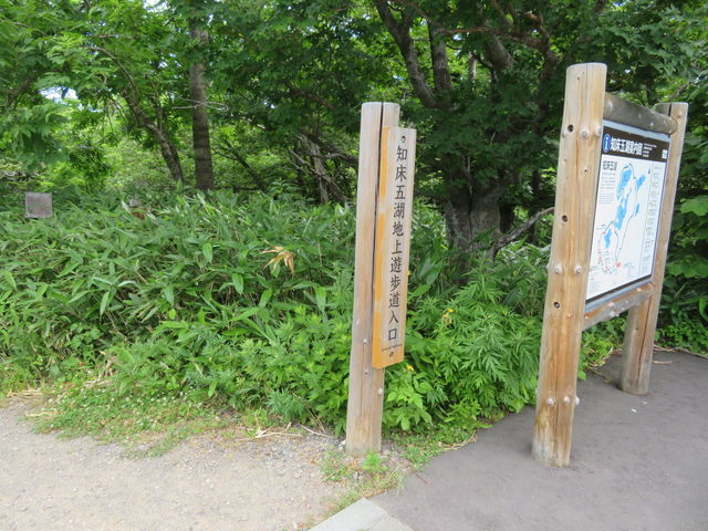 �V��������_�I�z�[�c�N���R��